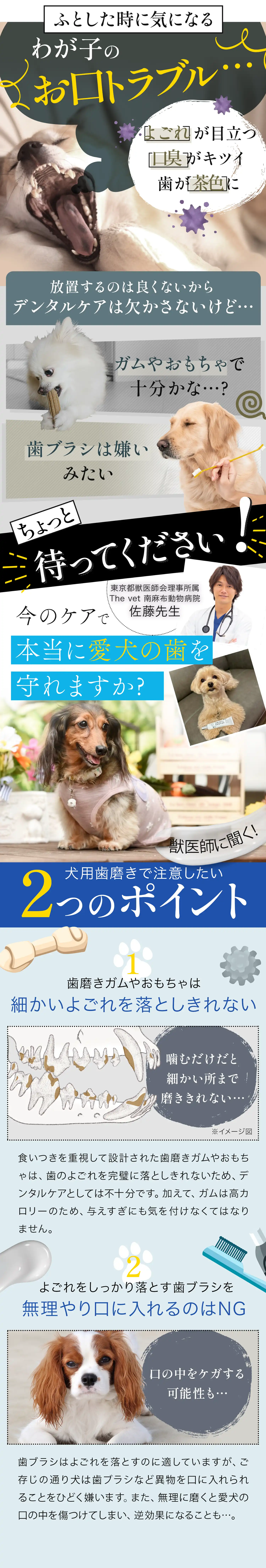 わんちゃんMV オリジナルムービー