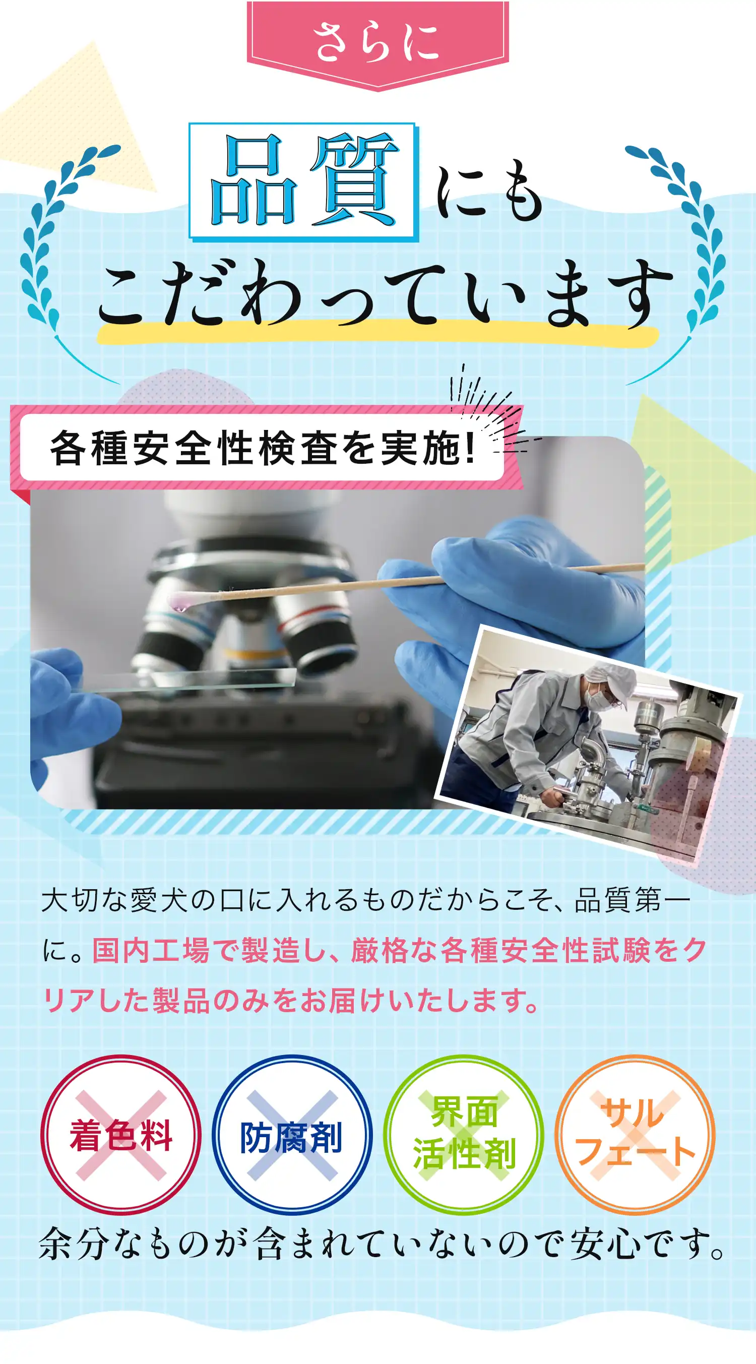 わんちゃんMV オリジナルムービー