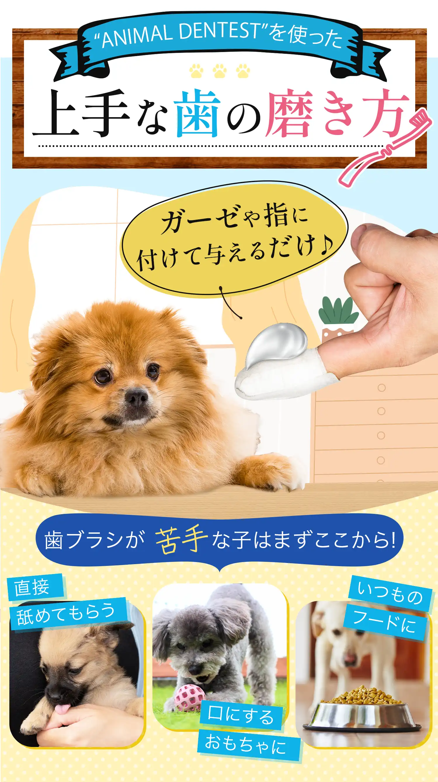 わんちゃんMV オリジナルムービー