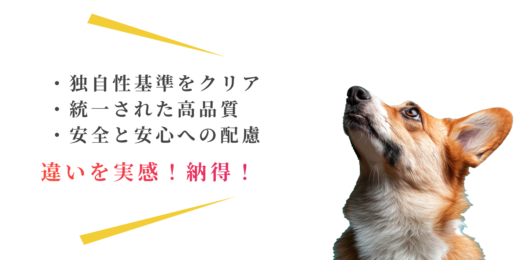 ・独自性基準をクリア・統一された高品質・安全と安⼼への配慮