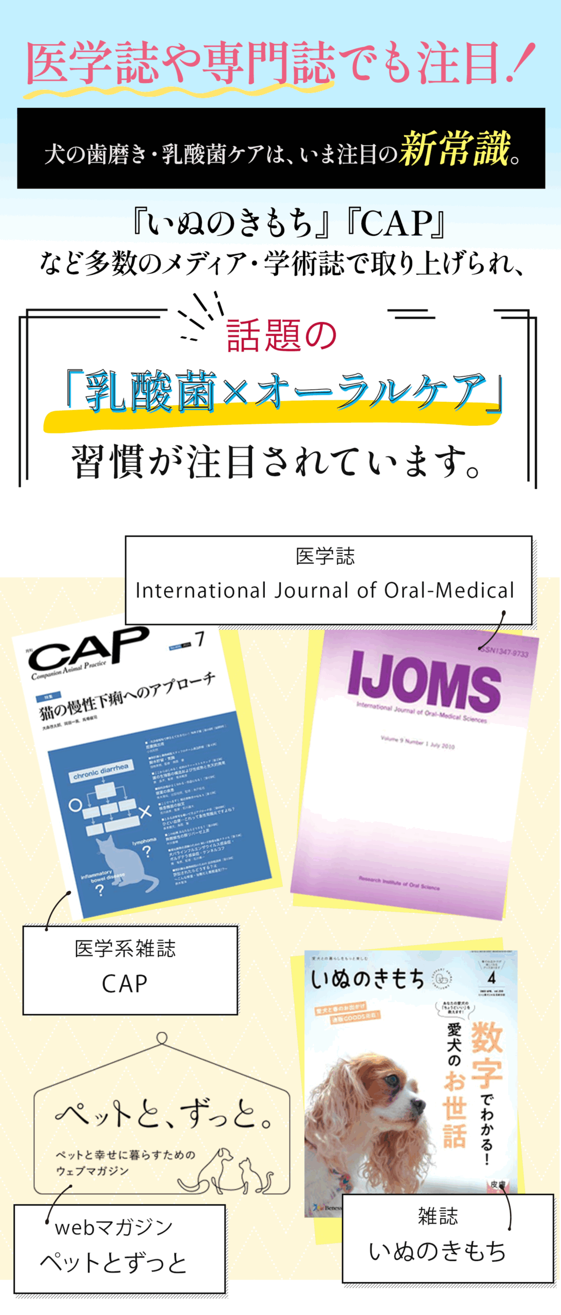 わんちゃんMV オリジナルムービー